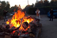 Santa Lucia, tradizione perpetrata nell'agro di Giovinazzo