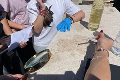 Pro Loco Giovinazzo, concluso il progetto "Petralab" con le scuole