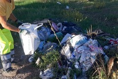 Il Comune di Giovinazzo ripulisce l'agro. Sollecito: «Stato pietoso delle campagne»