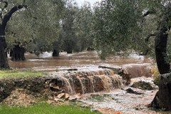 Maltempo, la situazione su Giovinazzo dopo una giornata di piogge intense