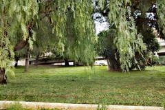 Verde pubblico, i nuovi interrogativi di PrimaVera Alternativa