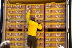 Coldiretti: «Dall'olio al grano fino alla mozzarella: invasione silenziosa che schiaccia la Puglia»