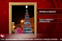 L'albero di Natale di Giovinazzo finisce al Tg2