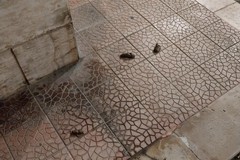 Via De Gasperi e via Cairoli ridotte a cloache