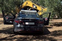 Rubato un escavatore ad una ditta: trovato nelle campagne di Giovinazzo
