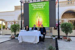 La cicoria puntarelle molfettese, eccellenza del territorio, pronta per il marchio IGP