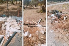 «Una discarica a cielo aperto»: la segnalazione di una cittadina