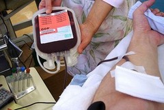 Appello per un giovinazzese: «Occorre sangue 0 RH negativo»