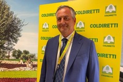 Coldiretti Puglia, è Alfonso Cavallo il nuovo presidente