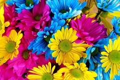 Ognissanti, caro fiori con prezzi raddoppiati anche a Giovinazzo