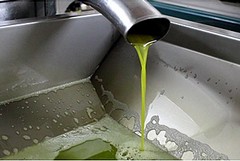 L'olio extravergine d'oliva di Giovinazzo conquista i mercati
