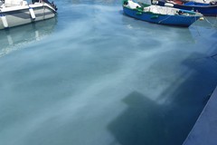 Chiazza bianca sospetta nel porto di Giovinazzo: si cerca l'origine