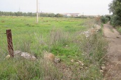 Parco naturalistico a Lama Castello, se ne occupa il Consiglio comunale di Giovinazzo