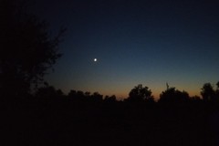 Come è bello il cielo di notte visto dal Dolmen di San Silvestro