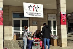 Volontari AIL in piazza a Giovinazzo per raccogliere fondi contro le leucemie