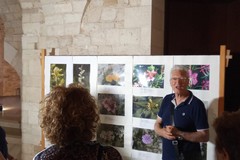 "I fiori di montagna", inaugurata la mostra nelle Sale del Bastione