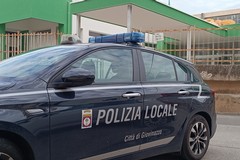 Tenta di scavalcare il muro della scuola dopo il furto: arrestato