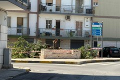 Definitivamente tagliato il carrubo alla rotatoria di via Ten. Devenuto
