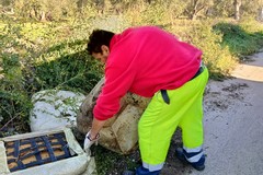 Nuova pulizia dell'agro a Giovinazzo, Rucci: «C'è ancora tanto da fare»