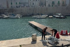 Nuovi pontili nel porto di Giovinazzo: il VIDEO del sindaco Sollecito