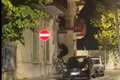 Ladri in azione in via Framarino a Giovinazzo: il video è virale