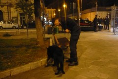 Cane antidroga in azione nella Villa Comunale Palombella