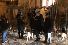 La benedizione di Sant'Antonio Abate sugli animali