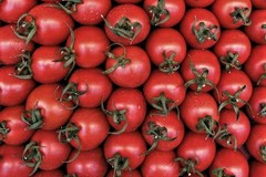 Caro pomodori, produrli è costato 3500 euro in più ad ettaro