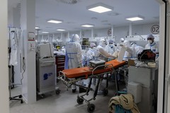 Covid, di nuovo ricoveri verso quota 200