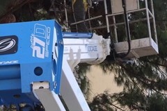 Verde pubblico, abbattuto pino all'interno della scuola "San Giovanni Bosco" - VIDEO