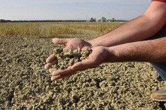 Giornata dell'ambiente, in Puglia a rischio desertificazione il 57% del territorio