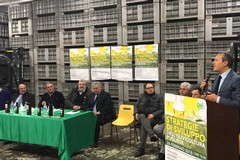 Gli olivicoltori: «Spina riferimento politico serio»