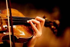 A Giovinazzo una meravigliosa mostra sui violini