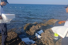 Liquidi oleosi sul litorale di Giovinazzo, rimossa macchia di idrocarburi