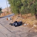 Una nuova discarica sulla provinciale tra Giovinazzo e Terlizzi