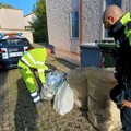 Raccolta differenziata, sanzioni alle attività produttive di Giovinazzo