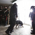Hashish nascosta nel garage: pusher stanato dai Carabinieri