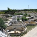 "Puglia, una ricetta di successo "