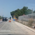 Lavori sulla ex 16 Adriatica: traffico rallentato