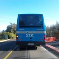 Stp, in arrivo 33 nuovi pullman