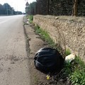 Aumenta la spazzatura su complanari e strade di campagna (FOTO)