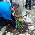 Senza vergogna: rubato il fiore piantato in piazza Stallone