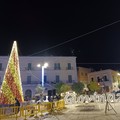 A Giovinazzo acceso l'Albero di Natale in piazza ed aperta la Casa di Babbo Natale - FOTO E VIDEO