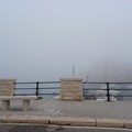 Nebbia a Giovinazzo, un inizio d'anno inaspettato - FOTO