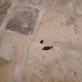 Piazza Duomo, già escrementi canini sulle  "chianche " appena riposizionate