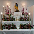 Si è ripetuto a Giovinazzo il meraviglioso rito degli Altarini di San Giuseppe - FOTO