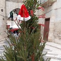 A Giovinazzo rubati due alberi di Natale dal centro storico