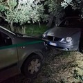 Furto sventato in un'azienda agricola di Giovinazzo. Ladri in fuga