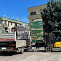 Il cuore grande di Giovinazzo: aiuti per ucraini in partenza da Bari