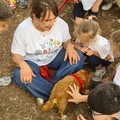 Pet Education, le “prof” a quattro zampe insegnano le emozioni ai bambini di Giovinazzo
